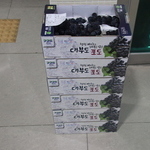 경기도(23.08.30)