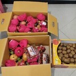 고덕종합상사(24.03.03