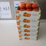 경기도(24.10.31)