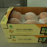 경기도(24.04.25)
