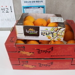 경기도(25.02.12)