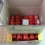 경기도(26.01.14)