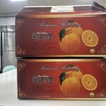 최병두 후원자(26.02.0